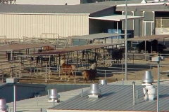 Circle D Ranch aerial view