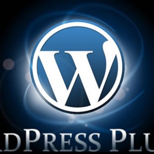 Which WordPress plugins should I use?