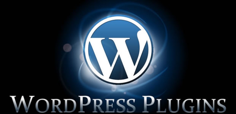 Which WordPress plugins should I use?