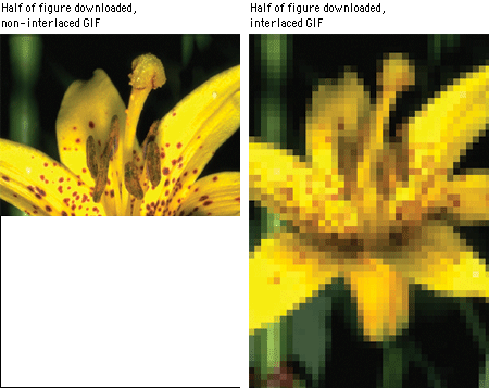 Interlaced and non-interlaced images