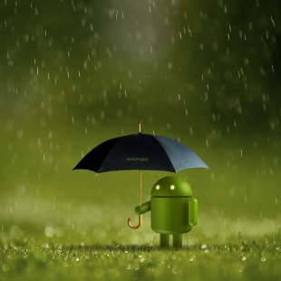 Little Android in the rain