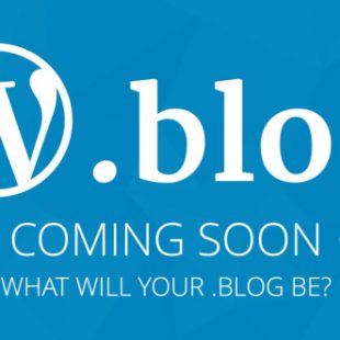 BLOG gTLD Domains Are Going Live on November 21st